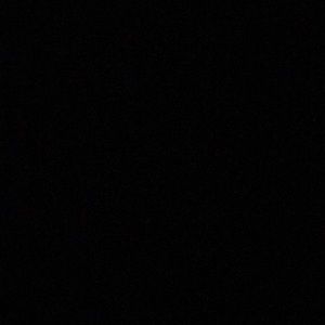 Meet your Posher, Shapree